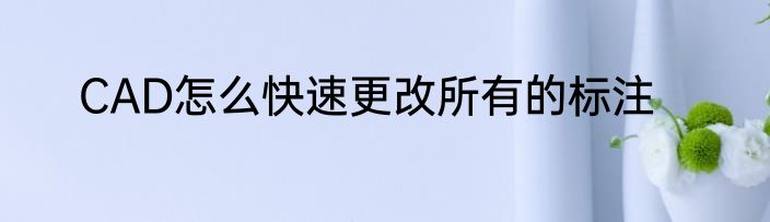 CAD怎么快速更改所有的标注