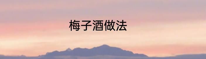 梅子酒做法