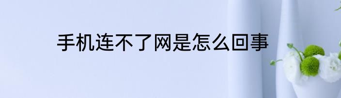 手机连不了网是怎么回事