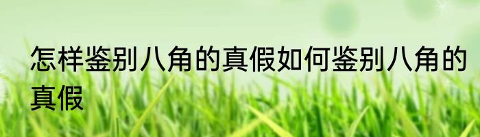 怎样鉴别八角的真假如何鉴别八角的真假