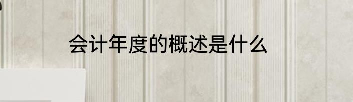 会计年度的概述是什么