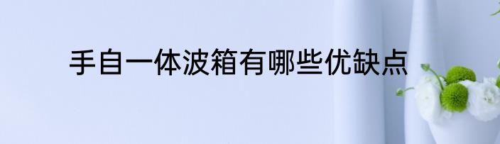 手自一体波箱有哪些优缺点