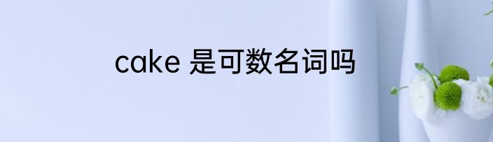 cake 是可数名词吗