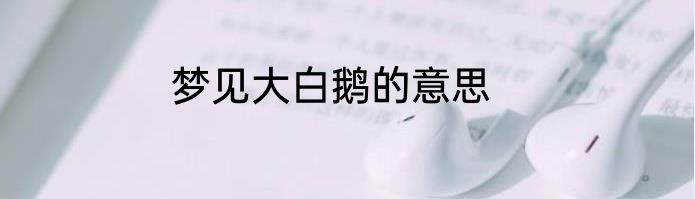 梦见大白鹅的意思