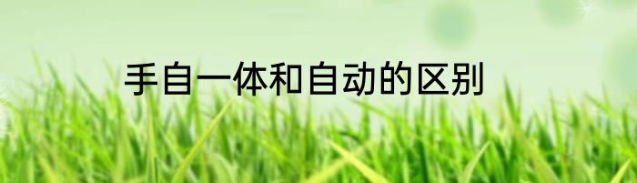 手自一体和自动的区别