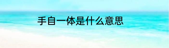 手自一体是什么意思