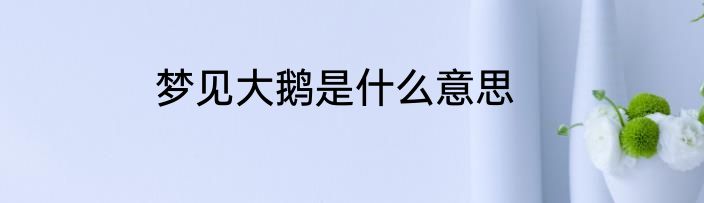 梦见大鹅是什么意思