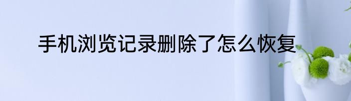 手机浏览记录删除了怎么恢复
