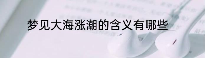 梦见大海涨潮的含义有哪些