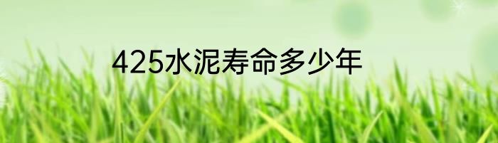 425水泥寿命多少年