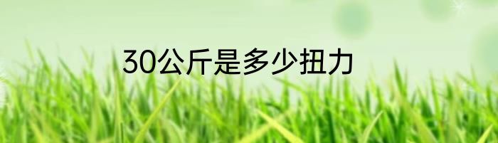 30公斤是多少扭力