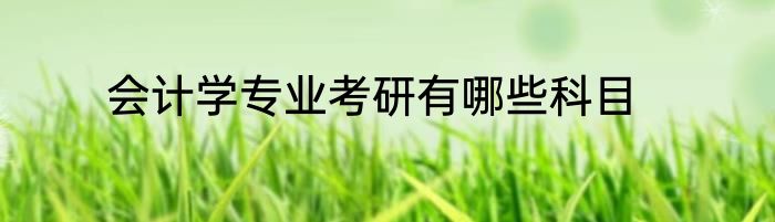 会计学专业考研有哪些科目