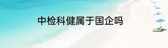 中检科健属于国企吗