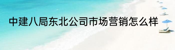 中建八局东北公司市场营销怎么样