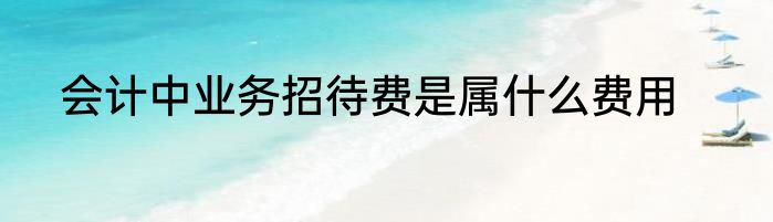 会计中业务招待费是属什么费用