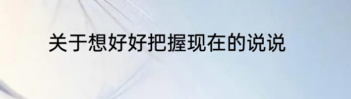 关于想好好把握现在的说说