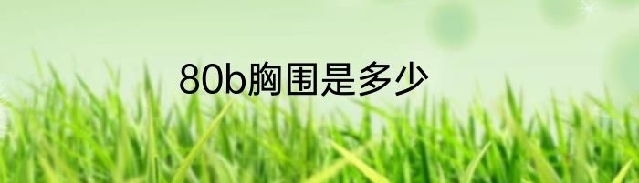 80b胸围是多少