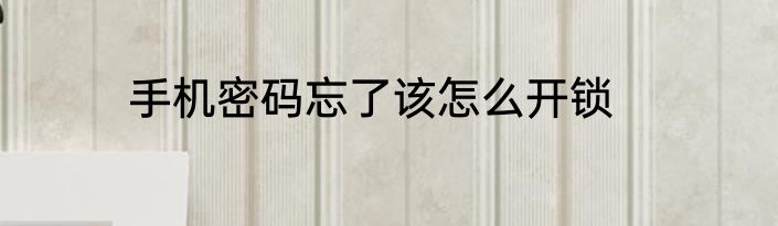 手机密码忘了该怎么开锁