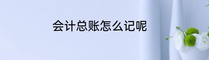 会计总账怎么记呢