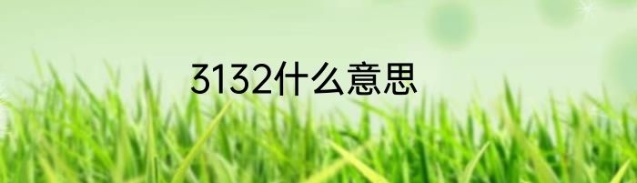 3132什么意思