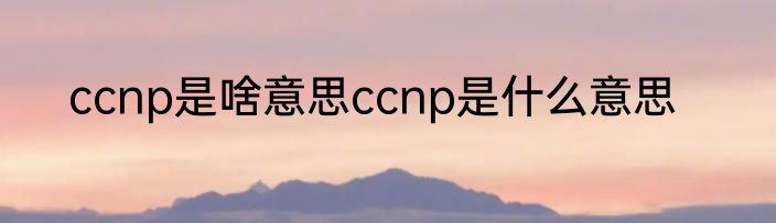 ccnp是啥意思ccnp是什么意思