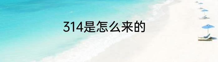 314是怎么来的