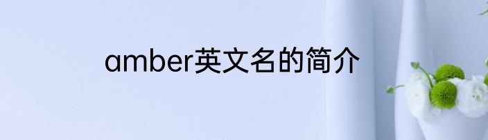 amber英文名的简介