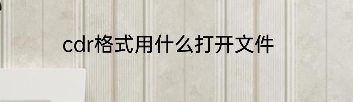 cdr格式用什么打开文件