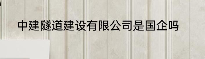 中建隧道建设有限公司是国企吗