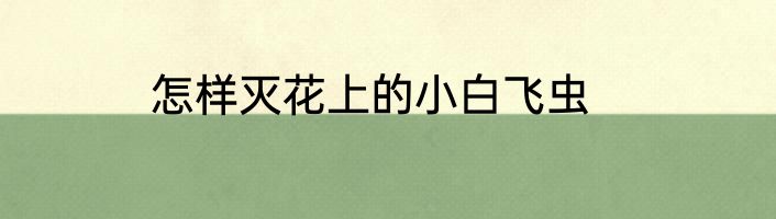怎样灭花上的小白飞虫
