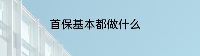 首保基本都做什么