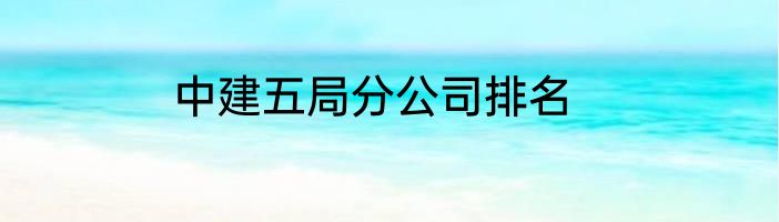 中建五局分公司排名