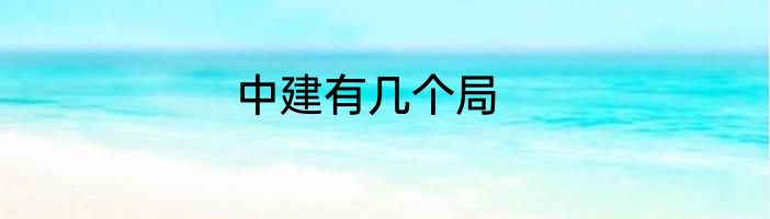 中建有几个局