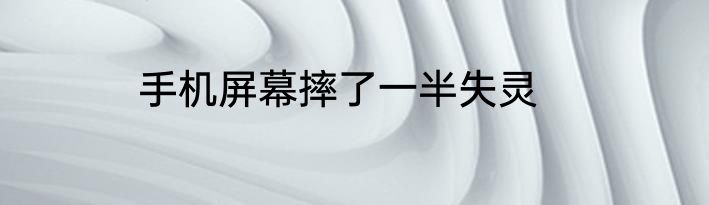 手机屏幕摔了一半失灵