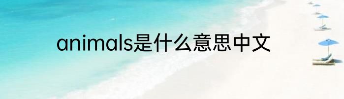animals是什么意思中文