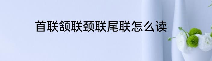 首联颔联颈联尾联怎么读