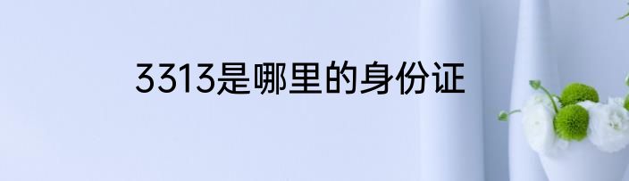 3313是哪里的身份证