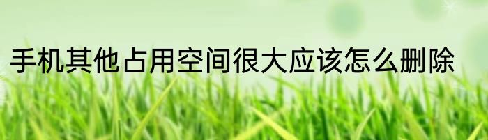 手机其他占用空间很大应该怎么删除