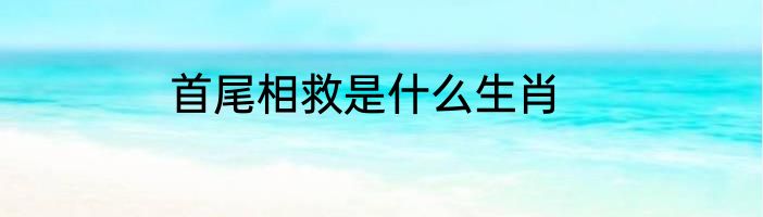 首尾相救是什么生肖