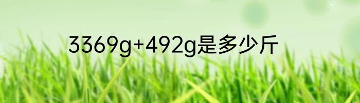 3369g+492g是多少斤