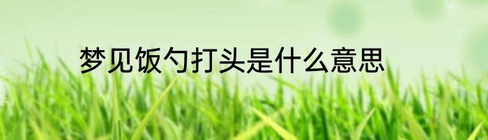 梦见饭勺打头是什么意思