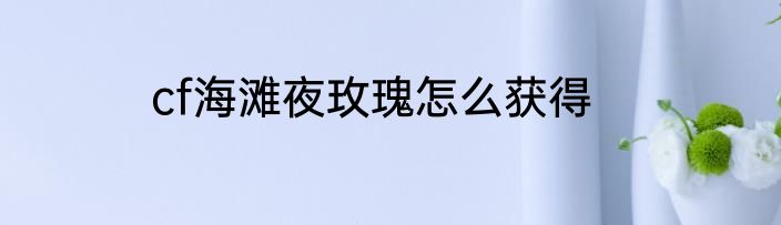 cf海滩夜玫瑰怎么获得