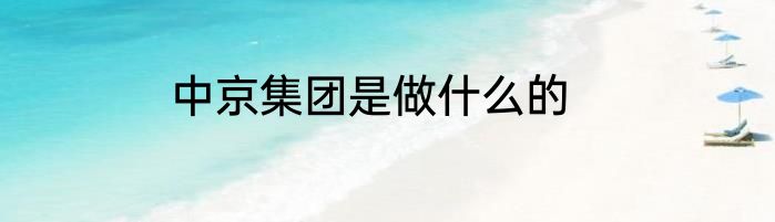 中京集团是做什么的