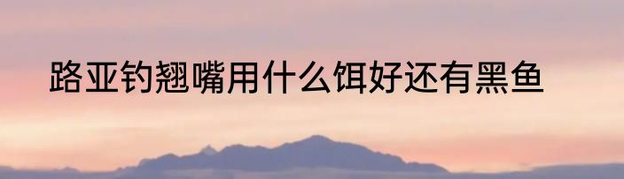 路亚钓翘嘴用什么饵好还有黑鱼