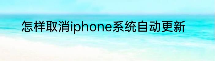 怎样取消iphone系统自动更新