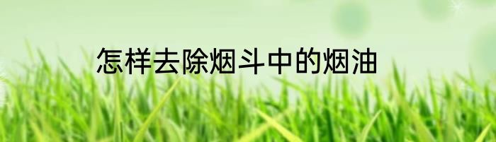 怎样去除烟斗中的烟油