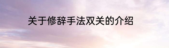 关于修辞手法双关的介绍