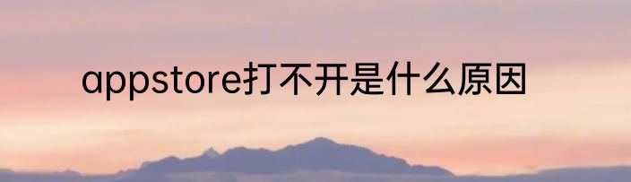 appstore打不开是什么原因