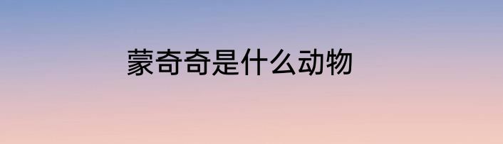 蒙奇奇是什么动物