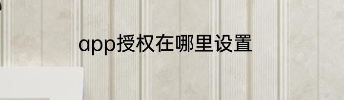 app授权在哪里设置